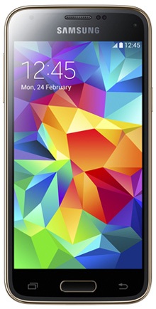 Samsung SM-G800F Galaxy S5 mini